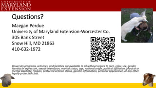 Questions?
Maegan Perdue
University of Maryland Extension-Worcester Co.
305 Bank Street
Snow Hill, MD 21863
410-632-1972
University programs, activities, and facilities are available to all without regard to race, color, sex, gender
identity or expression, sexual orientation, marital status, age, national origin, political affiliation, physical or
mental disability, religion, protected veteran status, genetic information, personal appearance, or any other
legally protected class.
 