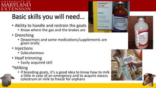 Basic skills you will need…
• Ability to handle and restrain the goats
• Know where the gas and the brakes are
• Drenching
• Dewormers and some medications/supplements are
given orally
• Injections
• Subcutaneous
• Hoof trimming
• Easily acquired skill
*Milking
• If breeding goats, it’s a good idea to know how to milk
a little in case of an emergency and to acquire excess
colostrum or milk to freeze for orphans
 