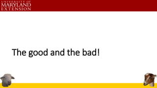 The good and the bad!
 