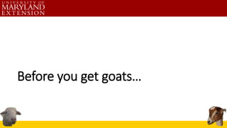 Before you get goats…
 
