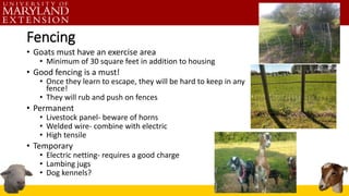 Fencing
• Goats must have an exercise area
• Minimum of 30 square feet in addition to housing
• Good fencing is a must!
• ...