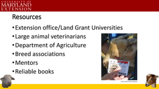 Resources
•Extension office/Land Grant Universities
•Large animal veterinarians
•Department of Agriculture
•Breed associat...