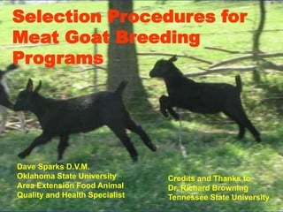 Selection Procedures for
Meat Goat Breeding
Programs




Dave Sparks D.V.M.
Oklahoma State University       Credits and Thanks to
Area Extension Food Animal      Dr. Richard Browning
Quality and Health Specialist   Tennessee State University
 