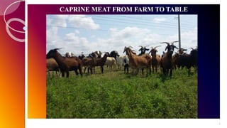1
CAPRINE MEAT FROM FARM TO TABLE
 