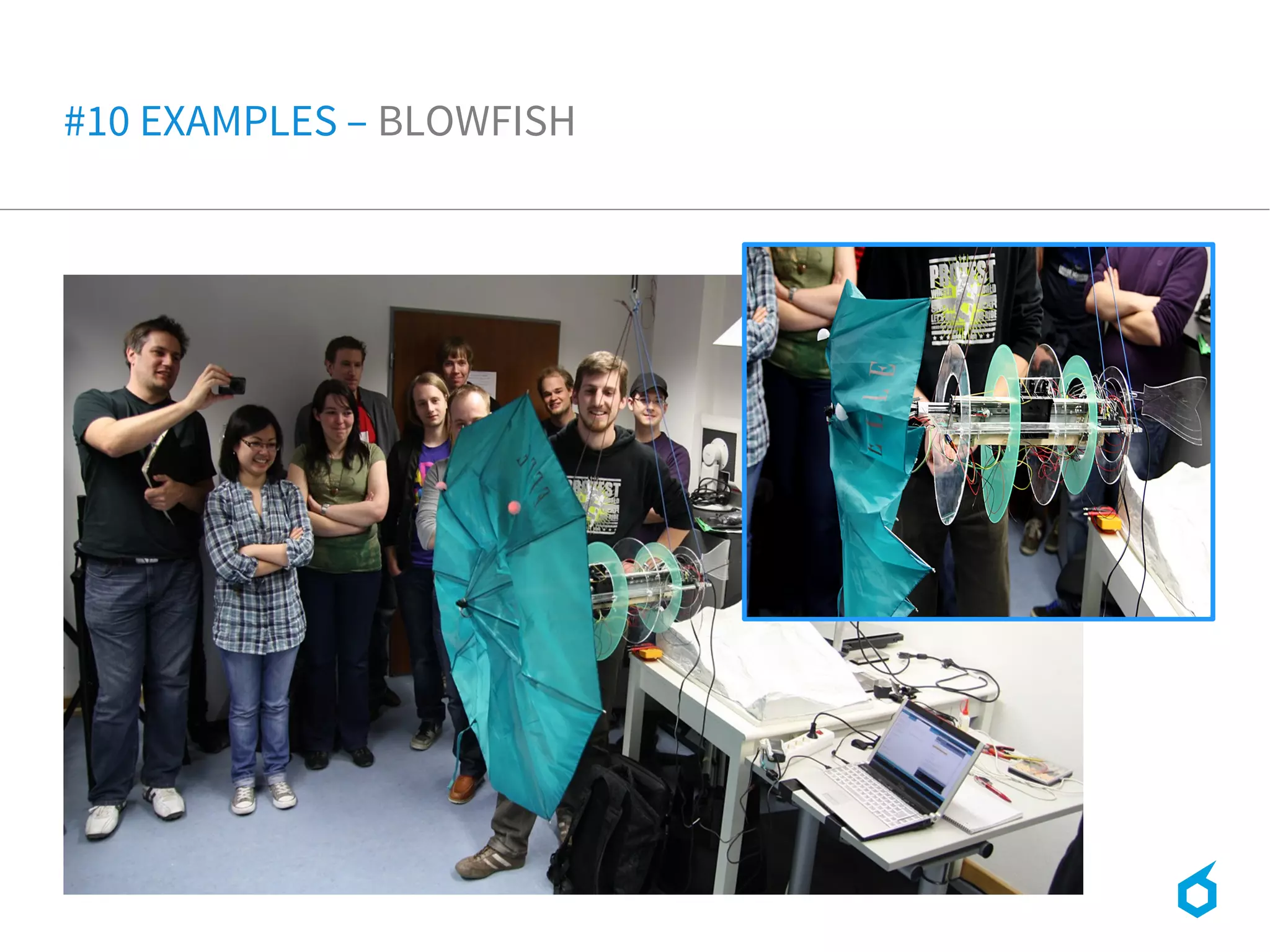 #10 EXAMPLES – BLOWFISH
 