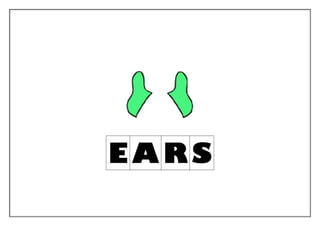 E AR S
 