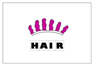 H AI R
 