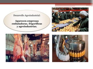Desarrollo Agroindustrial: 
Aparecen empresas 
embaladoras, frigoríficas 
y agroindustrias. 
 