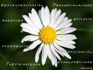 Descentralización   Proporcionalidad


Apertura                    Eficacia




Coherencia
                       Participación

                    Responsabilidad
 Subsidiariedad
                               Stock.xchng
 