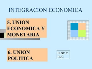 INTEGRACION ECONOMICA

5. UNION
ECONOMICA Y
MONETARIA


6. UNION      PESC Y
              PIJC
POLITICA
 