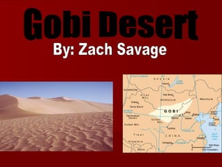 Gobi Desert By: Zach Savage 