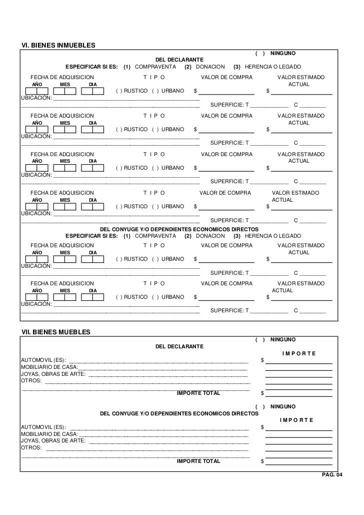Gobierno acapulco-formato-declaracion-situacion-patrimonial