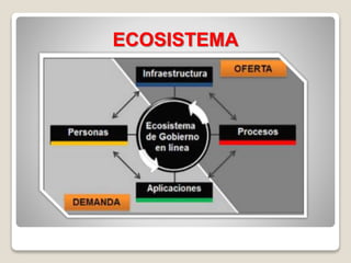 ECOSISTEMA
 