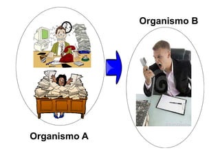 Organismo B
Organismo A
 
