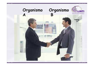 Organismo
A
Organismo
B
 