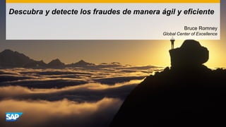 Descubra y detecte los fraudes de manera ágil y eficiente
Bruce Romney
Global Center of Excellence
 