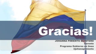 JOHANNA PIMIENTO QUINTERO
                     Gerente
   Programa Gobierno en línea
             @johanapimiento
 