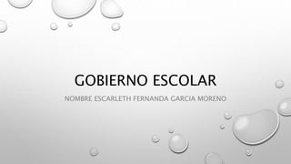 GOBIERNO ESCOLAR
NOMBRE ESCARLETH FERNANDA GARCIA MORENO
 
