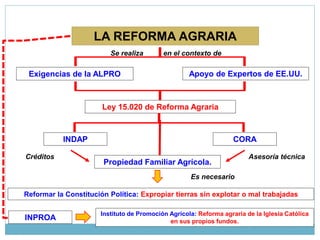 LA REFORMA AGRARIA
Exigencias de la ALPRO Apoyo de Expertos de EE.UU.
Se realiza en el contexto de
Ley 15.020 de Reforma Agraria
INDAP CORA
Propiedad Familiar Agrícola.
Asesoría técnicaCréditos
Es necesario
Reformar la Constitución Política: Expropiar tierras sin explotar o mal trabajadas
INPROA
Instituto de Promoción Agrícola: Reforma agraria de la Iglesia Católica
en sus propios fundos.
 
