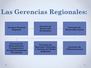 Estructura Organica de los Gobiernos regionales. | PDF