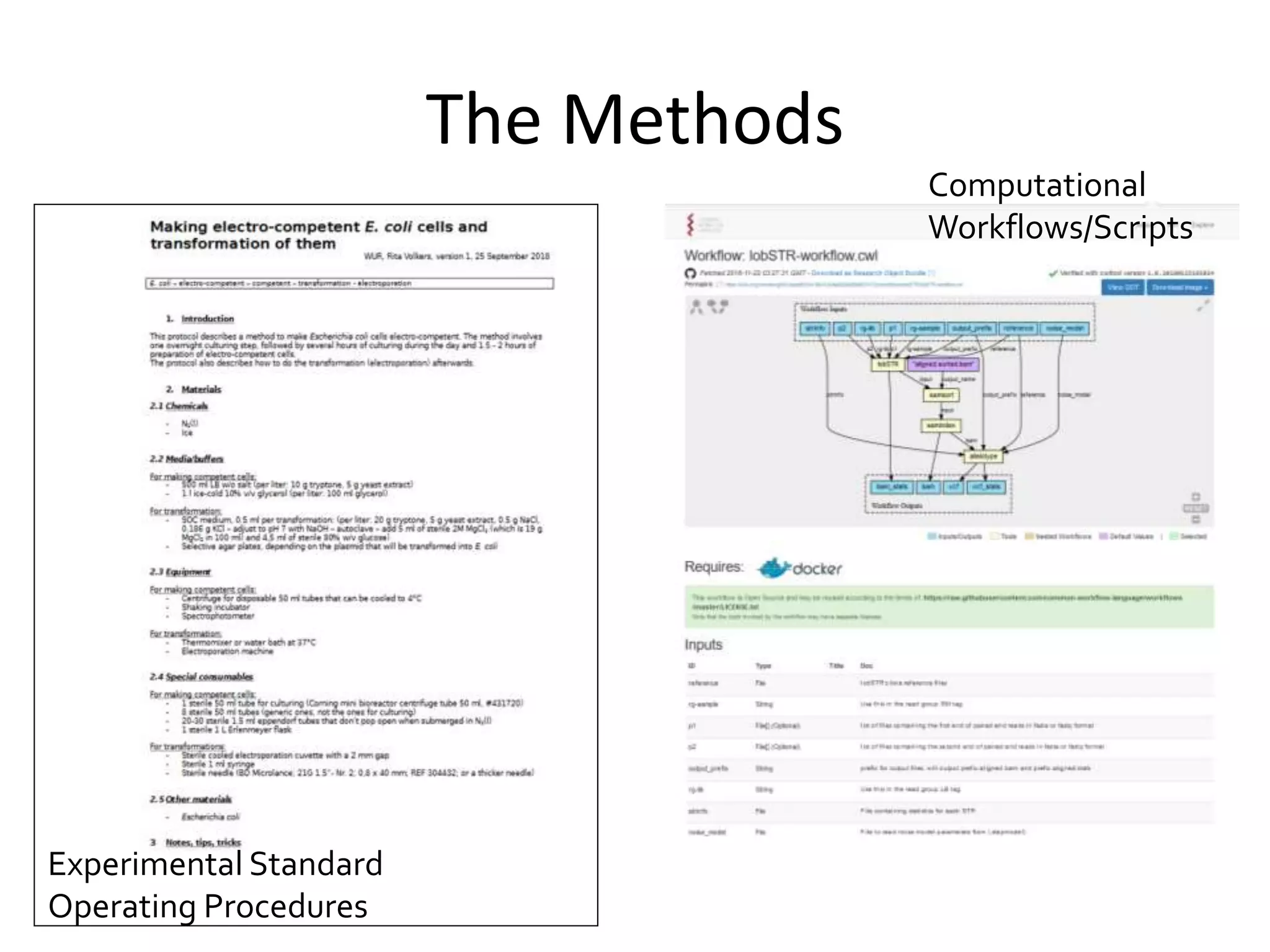 The Methods
Computational
Workflows/Scripts
Experimental Standard
Operating Procedures
 