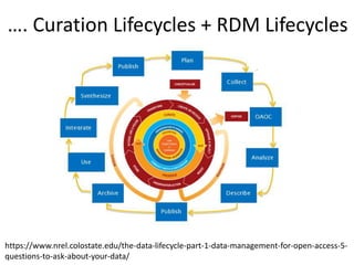A Big Picture in Research Data Management