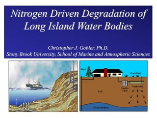 Nitrogen Driven Degradation of
Long Island Water Bodies
Christopher J. Gobler, Ph.D.
Stony Brook University, School of Marine and Atmospheric Sciences

 