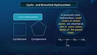 Cyclic and Branched Hydrocarbon
Cyclopentane
Cyclobutane
In branched chain
hydrocarbons, small
chains of carbon
atoms are attached at
one or more carbon
atoms of the parent
chain.
Cyclic Hydrocarbons
 