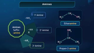 Amines
2o
Amine
1o
Amine
−NH2
Amines
Su x:
ﬃ
-amine
−NH
R
−NR2
3o
Amine
Ethanamine
Propan-2-amine
 