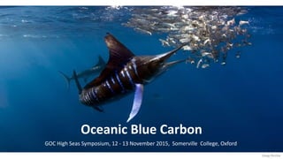 Oceanic Blue Carbon
GOC High Seas Symposium, 12 - 13 November 2015, Somerville College, Oxford
Doug Perrine
 
