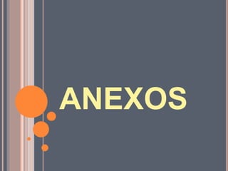 ANEXOS
 