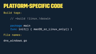 Platform-Speciﬁc Code
Build tags:
// +build !linux,!darwin
package main
func init() { macOS_or_Linux_only() }
File names:
dns_windows.go
 