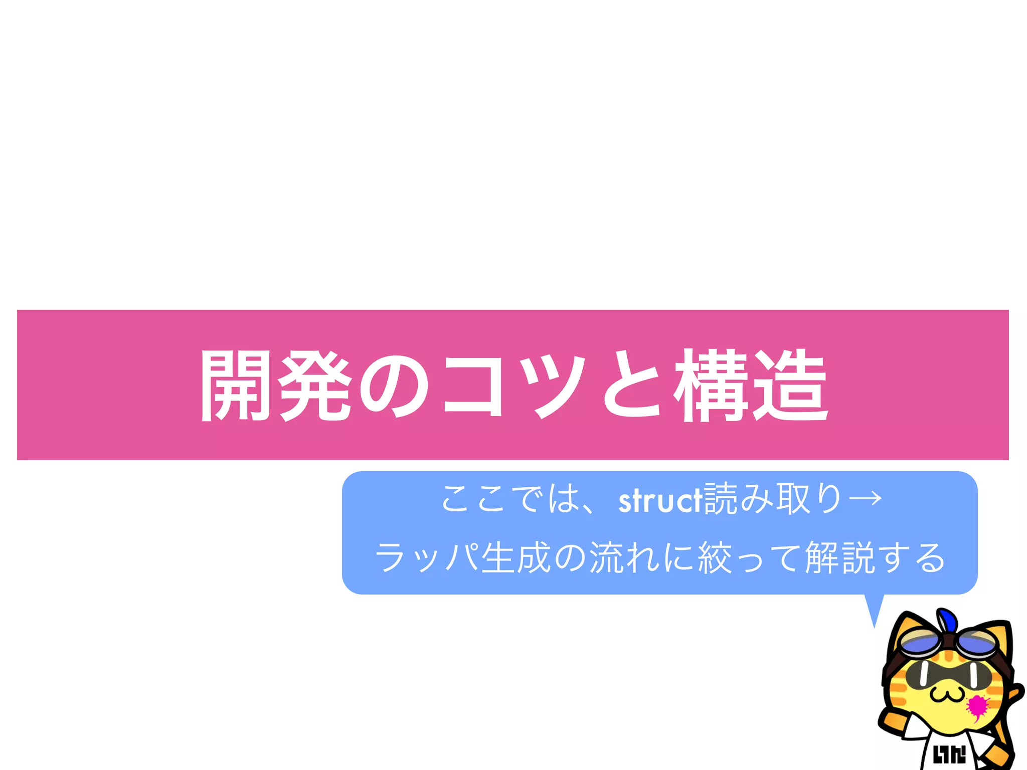 開発のコツと構造
ここでは、struct読み取り→
ラッパ生成の流れに絞って解説する
 
