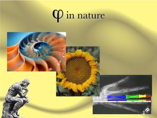 Introduction to Apologetics - Lesson 3