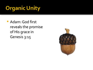 Adam: God first reveals the promise of His grace in Genesis 3:15 