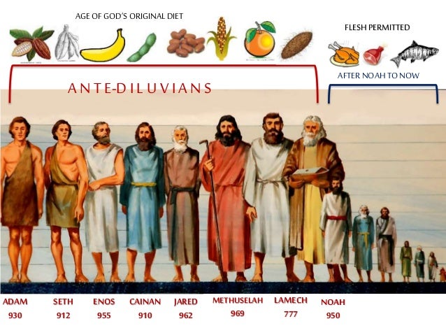 Methuselah Diet Foods Methuselah Diet Foods