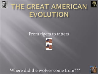 From tigers to tatters Where did the wolves come from??? 