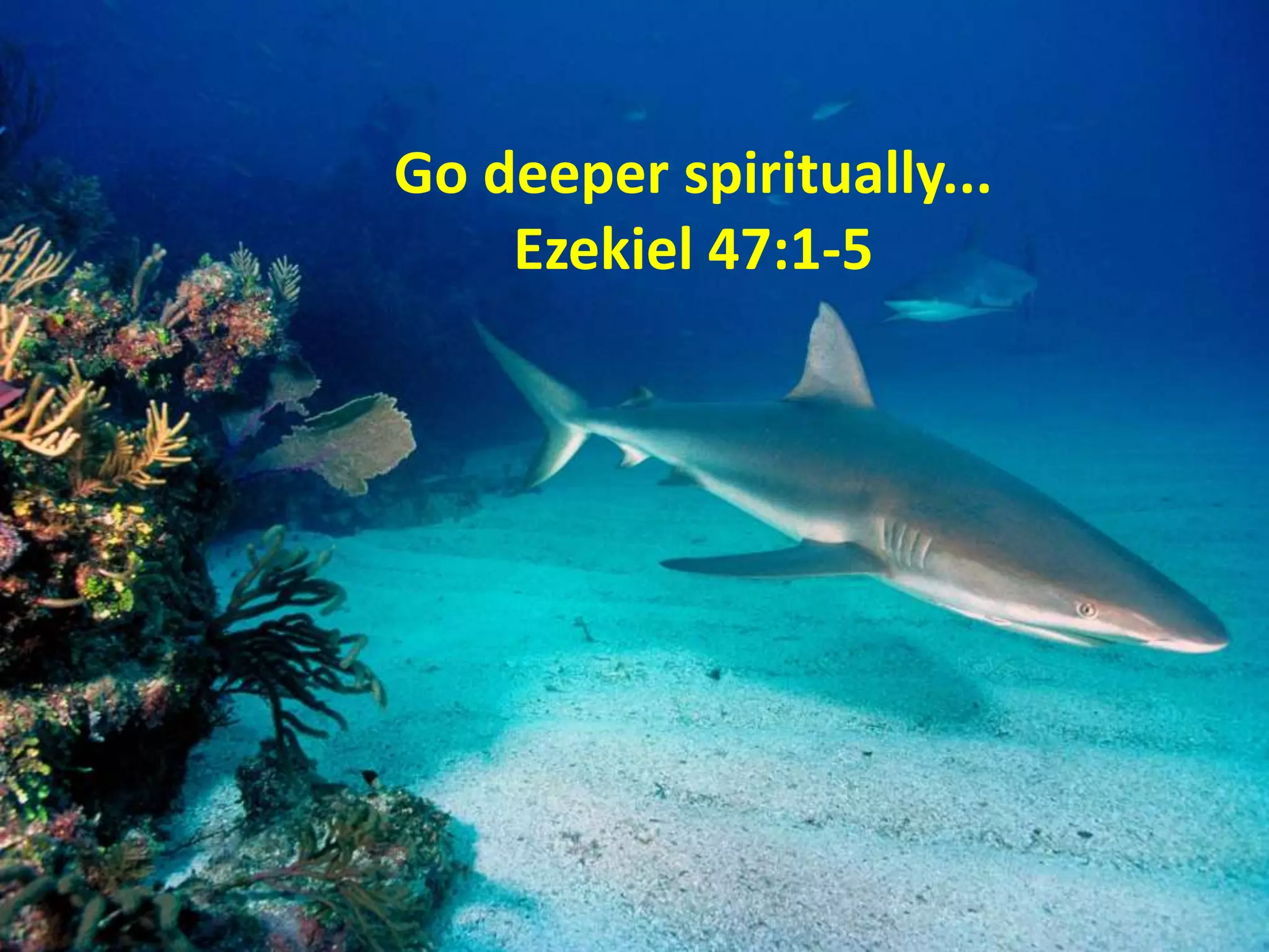 Go deeper spiritually...
Ezekiel 47:1-5