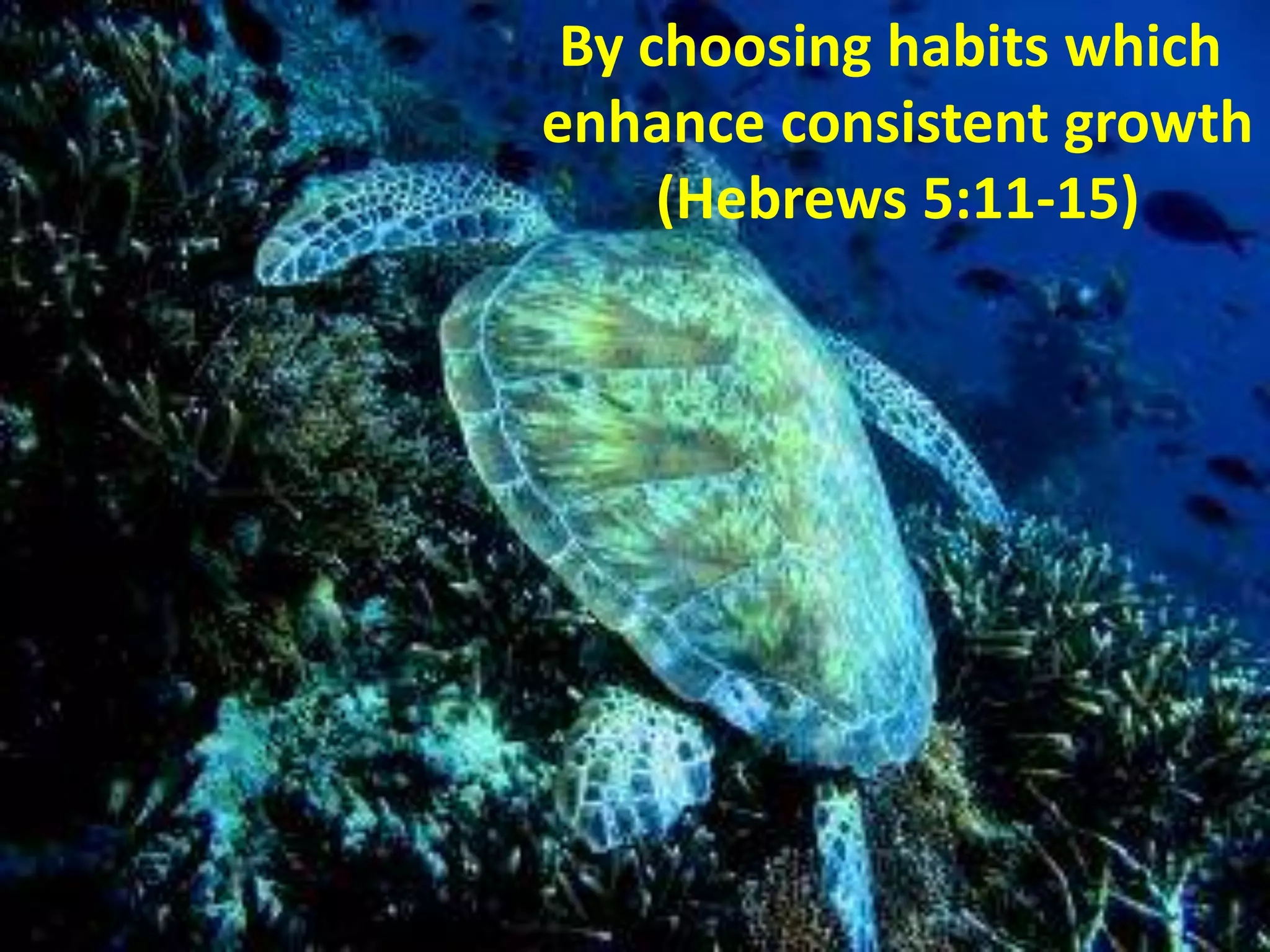 By choosing habits which
enhance consistent growth
(Hebrews 5:11-15)