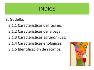 INDICE3. Godello.   3.1.1 Características del racimo.3.1.2 Características de la baya.3.1.3 Características agronómicas.3.1.4 Características enológicas.3.1.5 Identificación de racimos.