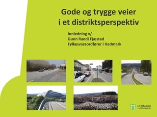 Gode og trygge veier
i et distriktsperspektiv
  Innledning v/
  Gunn Randi Fjæstad
  Fylkesvaraordfører i Hedmark
 