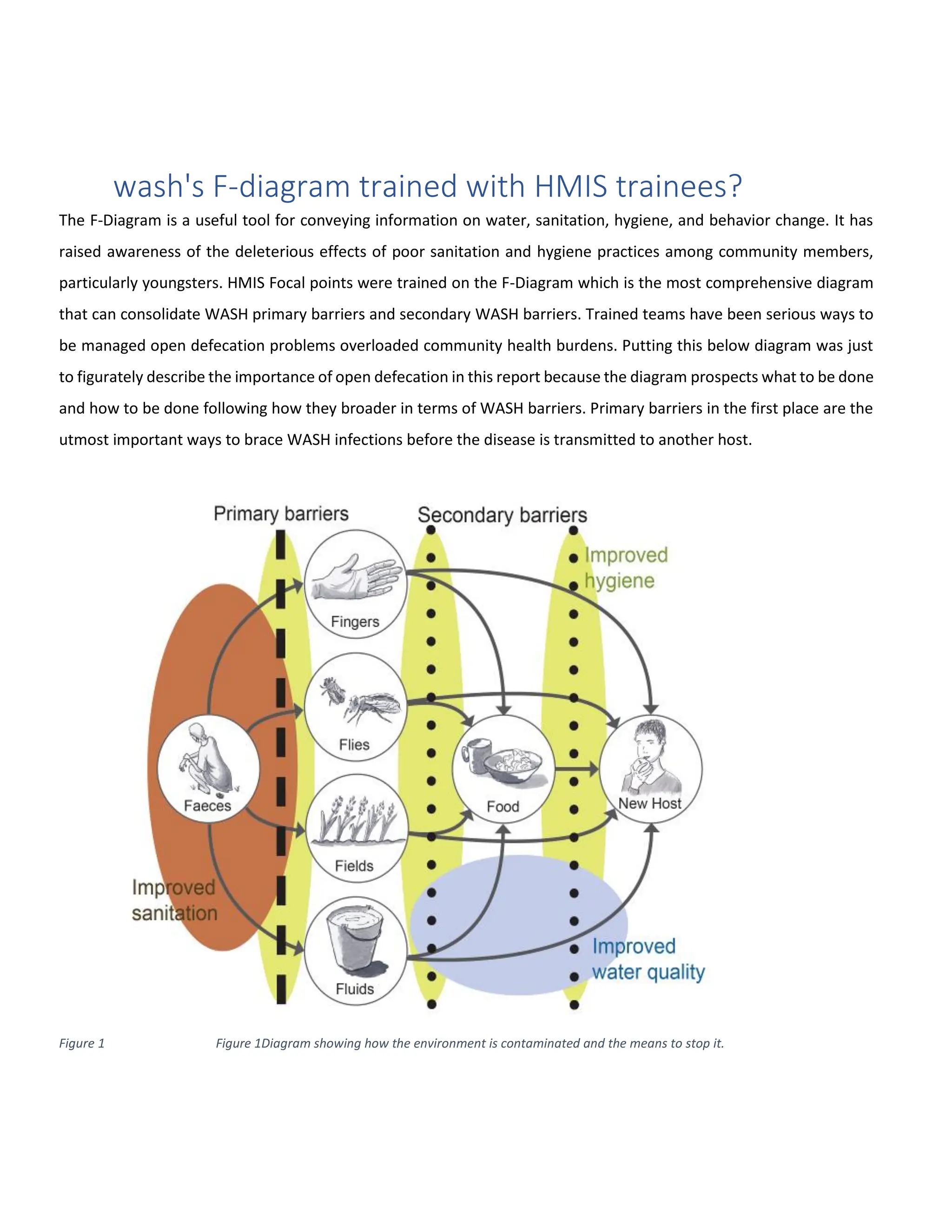 Somali Region districts HMIS focal points WASH training Report. | PDF