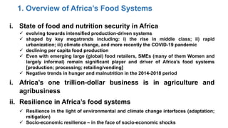 Africa Common Position to the UNFSS at the Ethiopia One CGIAR Launch