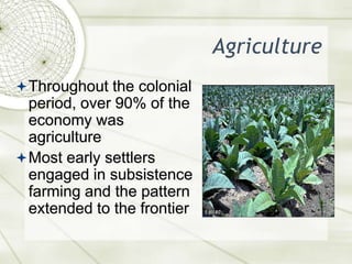 AgricultureThroughout the colonial period, over 90% of the economy was agricultureMost early settlers engaged in subsistence farming and the pattern extended to the frontier