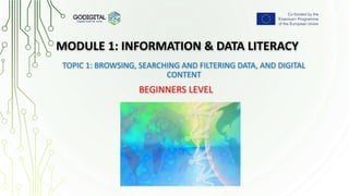 GoDigital project: Module 1 - Information and Data Literacy | PPTX