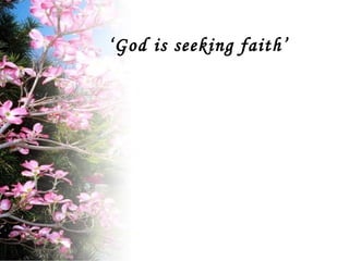 ‘ God is seeking faith’ 