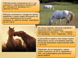 Робочим коням із розрахунку на 1 к. од
згодовують: перетравного протеїну 80-
90 г, кальцію 4-5, фосфору 4-5 г і
каротину 10-15 мг.
Кобилам, починаючи з четвертого місяця
жеребності, норму годівлі збільшують на
1,5-2 кг, підсисним на 3-4 кг сухої
речовини, а з дев’яти місяців - відповідно
на 2-3 і 4-6 кг.
На кожну кормову одиницю жеребній і
підсисній кобилі згодовують:
перетравного протеїну - 115 г, кальцію –
7-8, фосфору – 5-6 г і каротину - 25 мг.
У разі роботи коней у полі норму годівлі
збільшують на 20, а на важких дорогах
та під час виконання транспортних робіт
– на 10 %.
Тваринам, які не працюють, норму
годівлі знижують на 30 % порівняно з
тією, що розрахована для виконання
легкої роботи.
 