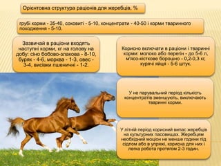 грубі корми - 35-40, соковиті - 5-10, концентрати - 40-50 і корми тваринного
походження - 5-10.
Орієнтовна структура раціонів для жеребців, %
Корисно включати в раціони і тваринні
корми: молоко або перегін - до 5-6 л,
м'ясо-кісткове борошно - 0,2-0,3 кг,
курячі яйця - 5-6 штук.
У не парувальний період кількість
концентратів зменшують, виключають
тваринні корми.
У літній період корисний випас жеребців
на культурних пасовищах. Жеребцям
необхідний моціон не менше години під
сідлом або в упряжі, корисна для них і
легка робота протягом 2-3 годин.
Зазвичай в раціони входять
наступні корми, кг на голову на
добу: сіно бобово-злакова - 8-10,
буряк - 4-6, морква - 1-3, овес -
3-4, висівки пшеничні - 1-2.
 