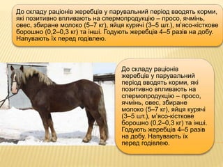 До складу раціонів жеребців у парувальний період вводять корми,
які позитивно впливають на спермопродукцію – просо, ячмінь,
овес, збиране молоко (5–7 кг), яйця курячі (3–5 шт.), м’ясо-кісткове
борошно (0,2–0,3 кг) та інші. Годують жеребців 4–5 разів на добу.
Напувають їх перед годівлею.
До складу раціонів
жеребців у парувальний
період вводять корми, які
позитивно впливають на
спермопродукцію – просо,
ячмінь, овес, збиране
молоко (5–7 кг), яйця курячі
(3–5 шт.), м’ясо-кісткове
борошно (0,2–0,3 кг) та інші.
Годують жеребців 4–5 разів
на добу. Напувають їх
перед годівлею.
 