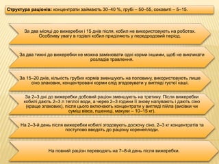 Структура раціонів: концентрати займають 30–40 %, грубі – 50–55, соковиті – 5–15.
За два місяці до вижеребки і 15 днів після, кобил не використовують на роботах.
Особливу увагу в годівлі кобил приділяють у передродовий період.
За два тижні до вижеребки не можна замінювати одні корми іншими, щоб не викликати
розладів травлення.
За 15–20 днів, кількість грубих кормів зменшують на половину, використовують лише
сіно злакових, концентровані корми слід згодовувати у вигляді густої каші.
За 2–3 дні до вижеребки добовий раціон зменшують на третину. Після вижеребки
кобилі дають 2–3 л теплої води, а через 2–3 години її знову напувають і дають сіно
(краще злакових), після цього включають концентрати у вигляді пійла (висівки чи
суміш вівса, пшениці, макухи – 10–15 кг).
На 2–3-й день після вижеребки кобилі згодовують досхочу сіно, 2–3 кг концентратів та
поступово вводять до раціону коренеплоди.
На повний раціон переводять на 7–8-й день після вижеребки.
 